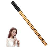 Tin Whistles, Penny Whistle Premium D Tin Whistle Woodwind Instrument Premium Six-Hole Penny Slide Whistles For Wind Instrument Beginner And Expert Band Performances(Gold)