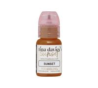 Tina Davies Sunset Brow Pigment 15ml Sunset