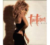 Tina Turner - TYPICAL MALE 7 INCH (7" VINYL 45) UK CAPITOL 1986