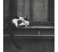 Tindersticks - City Sickness