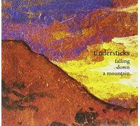 Tindersticks - Falling Down A Mountain