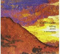Tindersticks - Falling Down A Mountain