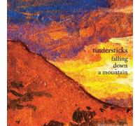 Tindersticks Falling Down A Mountain UK CD album CDLP CAD3X02CD 4AD 2010