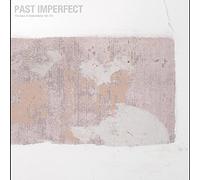 TINDERSTICKS - PAST IMPERFECT, THE BEST OF TINDERSTICKS 92 - 21 [VINYL]