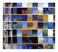 TINDERSTICKS-THE SOMETHING RAIN