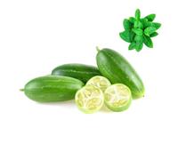 Tindori/Ivy Gourd - 2.5kg- (INDIA) | Fresh Mint Included