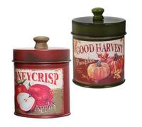 TINEASUR 2pcs Retro Iron Storage Canisters with Lid, Vintage Style Small Metal Flower Pots, Versatile and Sturdy Planters for Office Desk and Garden Use