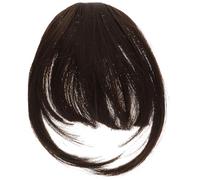 TINEASUR Clip in Bangs Hair Extensions for Women, High Temperature Silk Material, Invisible Fix on Your Hair, for Dating and Weddings, Natural Soft Synthetic Hairpiece