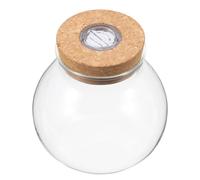 TINEASUR DIY Micro Landscape Terrarium Jar with LED Lighting Decoration, High Borosilicate Glass Mini Aquarium Bottle for Home Decor and Easy to Display Ecological Bottle, for Decorating