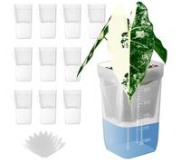 TineDew 10 Pack 2.5 inch Small self Watering pots for Indoor Plants,semi hydroponic pots for leca and pon,Clear Plastic Plant Pot for Propagation,Seedling,Cutting and African Violet (Clear, 2.5 inch)
