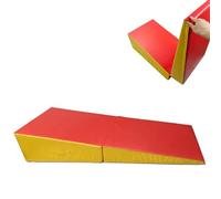 TINGMIAN Foldable Incline Gymnastics Cheese Mat,Large Tumbling Training with Non-Slip Base & Carry Handle for Home Gym, Skill Shape, Yoga, Aerobic(120x60x35cm)