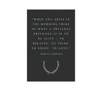 TINGTOEO Marcus Aurelius Quote 1 Canvas Poster Wall Art Decor Print Picture Paintings for Living Room Bedroom Decoration Unframe-style 12x18inch(30x45cm)