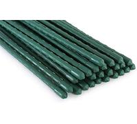 Tingyuan 25 Pack Garden Stakes 8mm x 75cm Plant Stakes Sturdy Plant Support