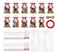 Tinlade 100 Set Christmas Potpourri Gift Bag with Tag Red Ribbon Rope Plastic Clear Cellophane Stovetop Simmer Bags Holiday DIY Craft Stovetop Simmer Instruction Present Kit for Party Favors Gifts