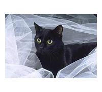 Tinnfea DIY 5D Diamond Painting Kit, Black Cat 30x40cm Adults, Full Drill Diamond Art, Crystal Rhinestone Pasted Painting, Arts Craft for Relaxation and Home Wall Decor