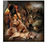Tinnfea Large Size DIY 5D Diamond Painting kit Indian Woman Wolves 50x50cm DIY Diamond Art Adults Full Drill Cross Stitch Picture Crystal Rhinestone Embroidery Painting Craft for Home Wall Decor