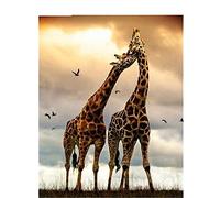 Tinnoon 5d Diamond Painting Round Diamond Paint by Numbers for Adults Large Embroidery Mosaic Cross Stitch Full Crystal Rhinestone Kids DIY Diamond Art for Home Wall Decor Giraffe,20x30cm/8x12in