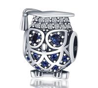 TINSLO 925 Sterling Silver Charms Beads for Pandora Bracelet, Dangle Pendant Charms for Necklace and Bracelet Jewelry Gifts for Women