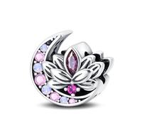 TINSLO 925 Sterling Silver Charms Beads for Pandora Bracelet, Dangle Pendant Charms for Necklace and Bracelet Jewelry Gifts for Women Girls