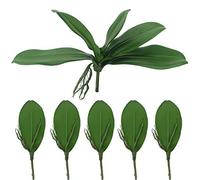 Tinsow Artificial Green Phalaenopsis Simulation Moth Orchid Leaf Real Latex Touch Green Plant for Flowers Garden Bonsai Decor (5, 9.5"/5 Leaves)