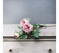 Tintagel Vintage English Rose Spray 2 Pack - Lavender