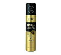 EBIN New York Tinted Color Temporary Spray 100 ml - Jet Black