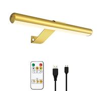 TINTINDOC Wireless Picture Light with Remote,Display Art Lights for Paintings with 4000mAh Rechargeable Battery,Dimmable Full Metal 300Lumens for Picture Painting Gallery Dartboard Poster Canvas
