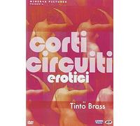 Tinto Brass Presents - Erotic Short Stores (12 Films) - 2-DVD Set ( Julia / A Magic Mirror / I Am The Way You Want Me / Voyeur / Blessed Transgression / Quattro / Ladybird / What A Weekend / Hold