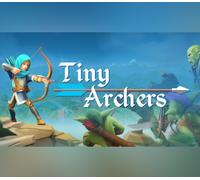 Tiny Archers VR PC Steam CD Key