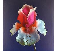 Tiny Cities (Feat. Beck)/Take A Chance (Feat. Little Dragon)