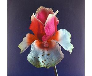 Tiny Cities (Feat. Beck)/Take A Chance (Feat. Little Dragon)