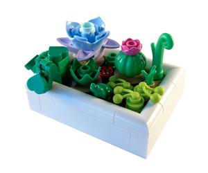 Tiny Desert Garden