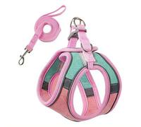Tiny Dog Harness - Lightweight Mesh Step-in Vest for Puppy, Reflective & Escape-Proof Design with High-Stick Magic Tape - Indoor/Outdoor Use for Chihuahua, Maltese, Shih Tzu (green pink)