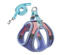 Tiny Dog Harness - Lightweight Mesh Step-in Vest for Puppy, Reflective & Escape-Proof Design with High-Stick Magic Tape - Indoor/Outdoor Use for Chihuahua, Maltese, Shih Tzu (blue and pink)