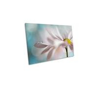 Tiny Duo Waterdrops Pink Flower Canvas Wall Art Picture Print CanvasGeeks Pink W36 inch x H24 inch x D40mm