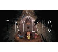 Tiny Echo