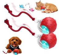 Tiny Fetch Dog Toy - 2026 New Tiny Fetch Motion Dog Toy with Birdsong & Rope,Interactive Dog Cat Toys Balls,360°Smart Automatic Rolling Electric Dogs Ball Toy,Fast Moving Toy for Dog and Cat (Red*2)