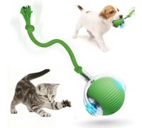 Tiny Fetch Dog Toy, 360° Rolling Interactive Fast Moving Toys Balls with Rope, for Dogs and Cat Indoor Play red+green+gray