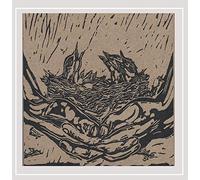 Tiny Hawks - Fingers Become Bridges