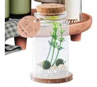 Tiny Jars with Cork Lids - Wishing Bottle - Storage Decoration Miniature Stylish with Wooden Corks for Home Crafts Desktop Ornament Family Friends Drift Message Wishing