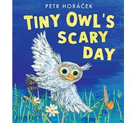 Tiny Owl's Scary Day