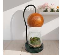 Tiny Plant Terrarium Modern Style Wood Grain DIY Kit Terrarium with Light for Succulent, Moss, Ferns Household Plant Tabletop Decoration Gardening Landscape Desk Lamp for Gardening Starter, Adults
