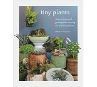 Tiny Plants: Discover the joys of growing and collecting itty-bitty houseplants
