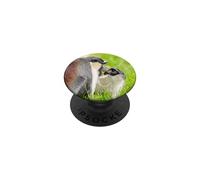 Tiny Roloway Monkey Big Connection PopSockets Adhesive PopGrip