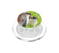 Tiny Roloway Monkey Big Connection PopSockets PopGrip for MagSafe