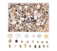 Tiny Seashells For Crafts,Natural Beach Seashells,Candle Decoration For Hobbyists Beginners Adults Kids Art Teachers Artists Aquarium Fish Tank Holiday Home Office Classroom Party