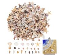 Tiny Shells - Aquarium Decor - DIY Wedding Decor Shells | for Hobbyists Beginners Adults Kids Art Teachers Artists Aquarium Fish Tanks Holiday Home Office Classroom Party Studio