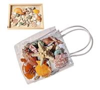 Tiny Shells for Crafts, Natural Sea Themed Candle Making, Lake, Starfish Mixed Snail-Transparent Gift Bag, See description, No Gemstone