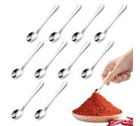 Tiny Spoon Small Spoons for Spices Jars 10pcs Mini Spoon 7.5 CM Small Spoons Tiny Stainless Steel Scoop for Spices Salt