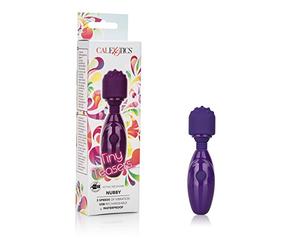 Tiny Teasers Nubby Beginners Bullet Vibration Toy with Pleasure Tip, Purple